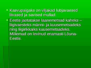 Metsad #35