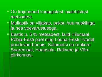 Metsad #40
