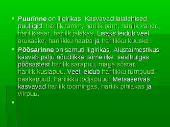Metsad #41