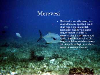 Vesi #3