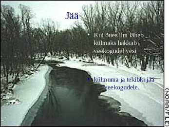 Vesi #7