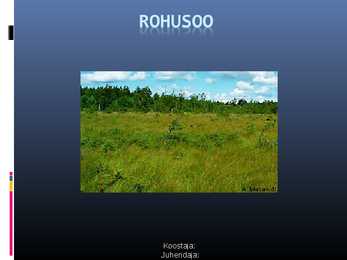 Rohusoo