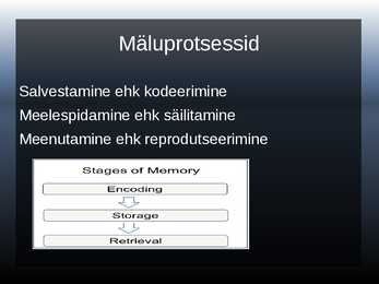Powerpoint esitlus mälu ja mälu treenimise kohta #6