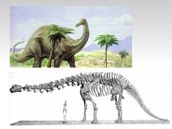 Dinosaurused #4