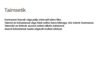 SURMAORG #4