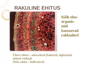 ELU TUNNUSED #3