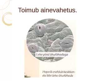 ELU TUNNUSED #6