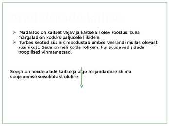 Madalsoo Alam-Pedjas #16