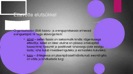 Ettevõtte kasvukontseptsiooni variatsioone #3