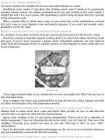The 4-Hour Body - An Uncommon Guide to Rapid Fat-Loss-Incredible Sex-and Becoming Superhuman - Timothy Ferriss #110