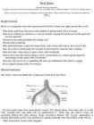 The 4-Hour Body - An Uncommon Guide to Rapid Fat-Loss-Incredible Sex-and Becoming Superhuman - Timothy Ferriss #242