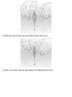 The 4-Hour Body - An Uncommon Guide to Rapid Fat-Loss-Incredible Sex-and Becoming Superhuman - Timothy Ferriss #248