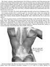 The 4-Hour Body - An Uncommon Guide to Rapid Fat-Loss-Incredible Sex-and Becoming Superhuman - Timothy Ferriss #312