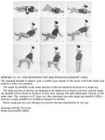 The 4-Hour Body - An Uncommon Guide to Rapid Fat-Loss-Incredible Sex-and Becoming Superhuman - Timothy Ferriss #334