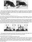 The 4-Hour Body - An Uncommon Guide to Rapid Fat-Loss-Incredible Sex-and Becoming Superhuman - Timothy Ferriss #364