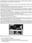 The 4-Hour Body - An Uncommon Guide to Rapid Fat-Loss-Incredible Sex-and Becoming Superhuman - Timothy Ferriss #512