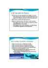 Tao Te Ching-Tim Chiu #6