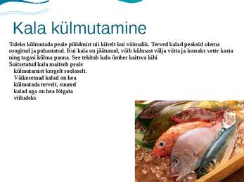 Toidu külmutamine #12