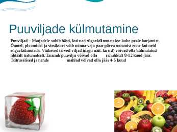 Toidu külmutamine #9