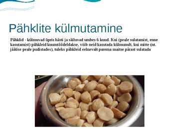 Toidu külmutamine #10