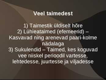 Kõrbed #11