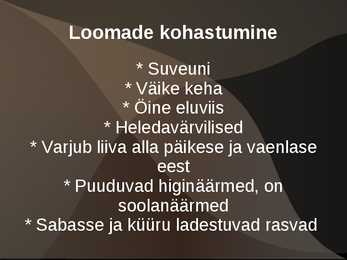 Kõrbed #12