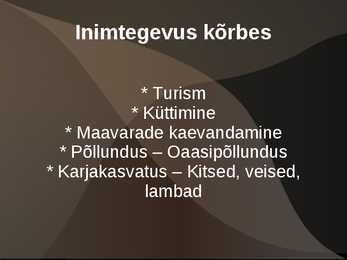 Kõrbed #14