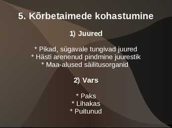 Kõrbed #9