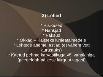 Kõrbed #10