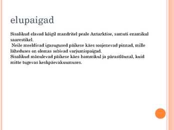 Sisalikud #3