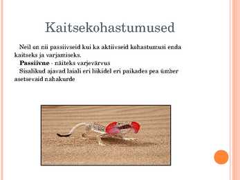Sisalikud #6