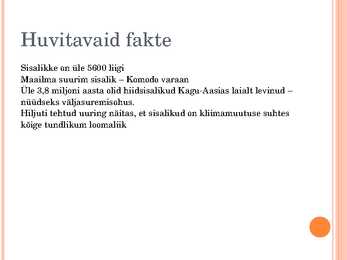 Sisalikud #10