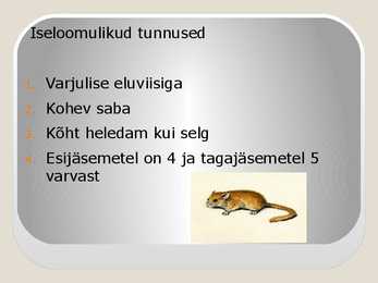 Pähklinäpp #2