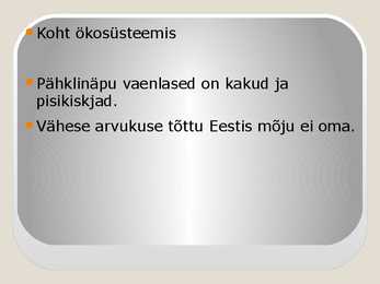 Pähklinäpp #7