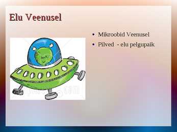 Veenus - slaidishow #13