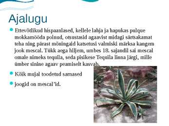 Joogid rühmatöö #14