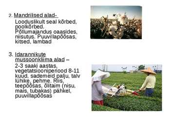 Agrokliimavöötmed ja tootmise vormid #11