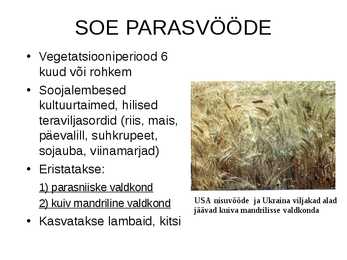 Agrokliimavöötmed ja tootmise vormid #9