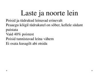 LEIN #8