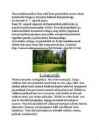 Niit #6