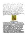Niit #8