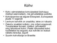 Tee-ja kohvisordid #13
