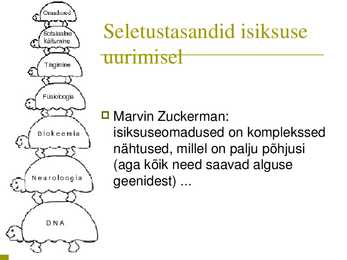 Isiksus #29