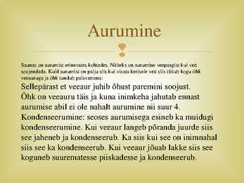 Soojusnähtavus saunas #5