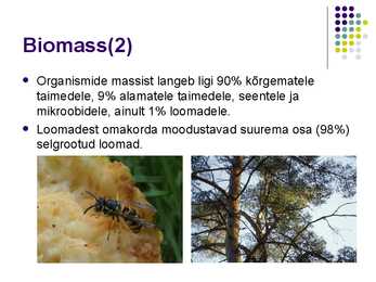 Biosfäär #13