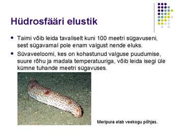 Biosfäär #8