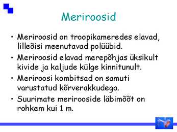 Ainuõõssed #13