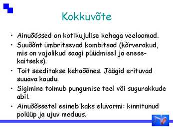 Ainuõõssed #17