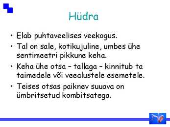 Ainuõõssed #3
