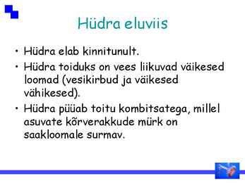 Ainuõõssed #5
